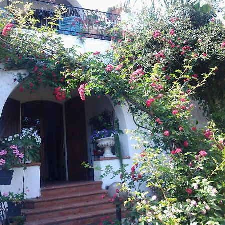 B&B Villa Piera Montecucco Stintino Luaran gambar
